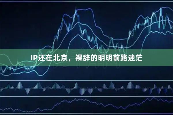 IP还在北京,裸辞的明明前路迷茫